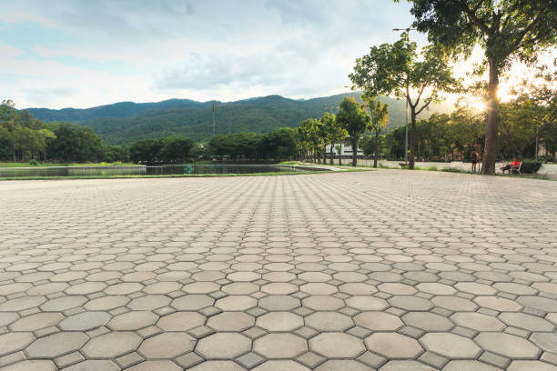 Best Decorative Driveway Pavers  in Nutter Fort, WV